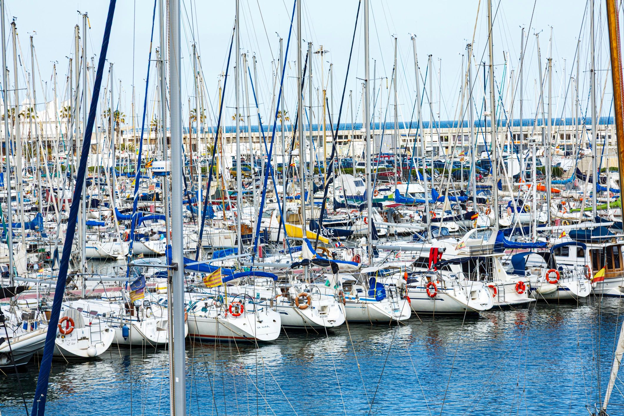Sailboats docked in a sunny harbor
